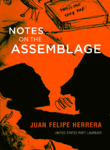 Notes on the Assemblage book