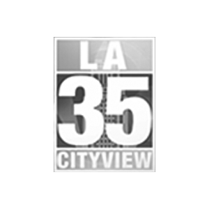 Palisades Library Wildfire Recovery