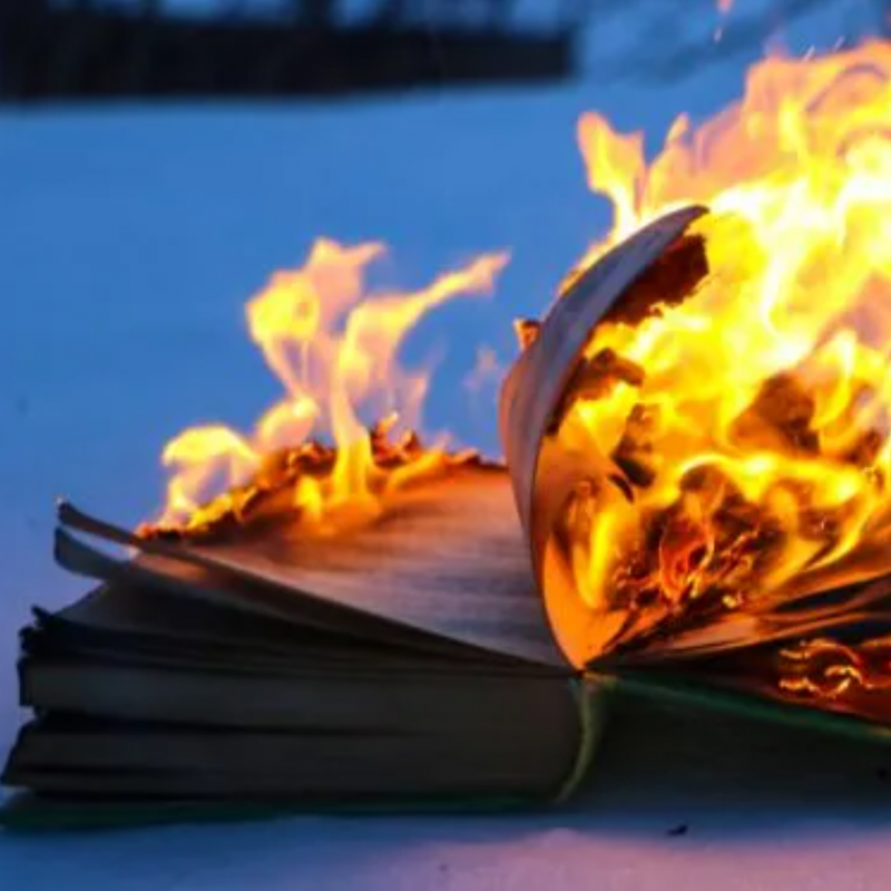 The Literary Landscape and Response to the Los Angeles Wildfires: Book Censorship News, January 24, 2025