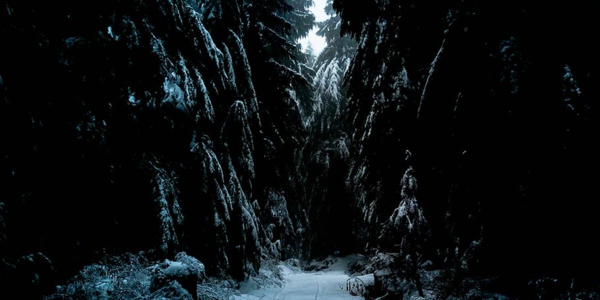 track-path-road-snow